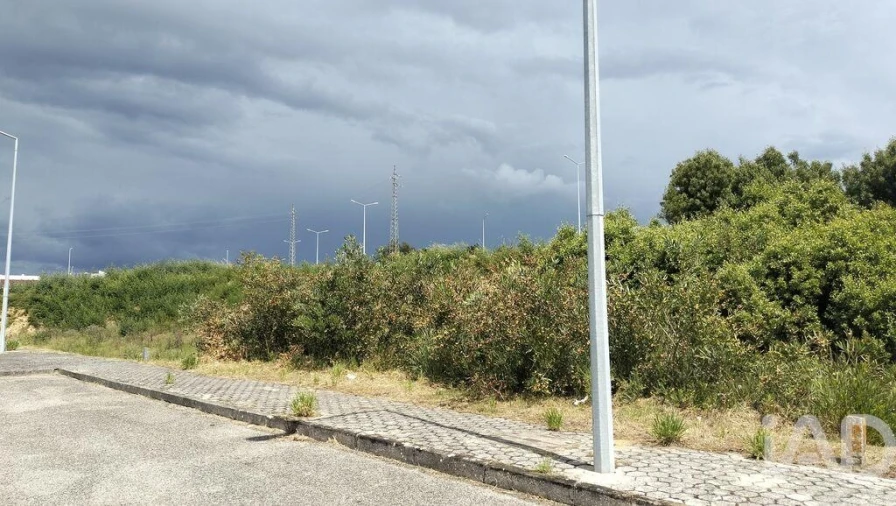 Terreno para Venda em Águeda e Borralha Foto 23