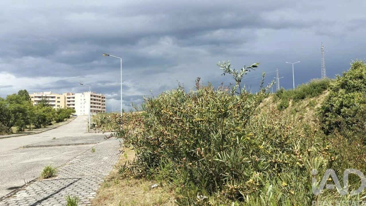 Terreno para Venda em Águeda e Borralha Foto 30
