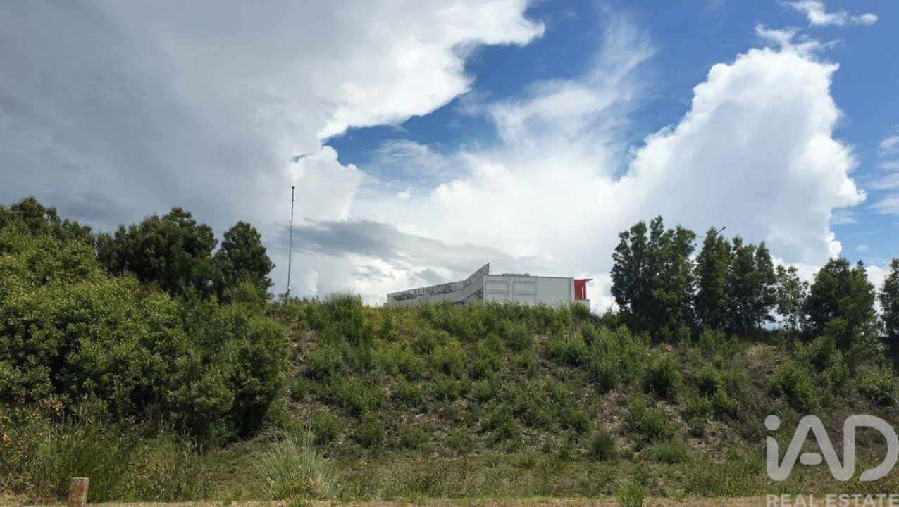 Terreno para Venda em Águeda e Borralha Foto 22