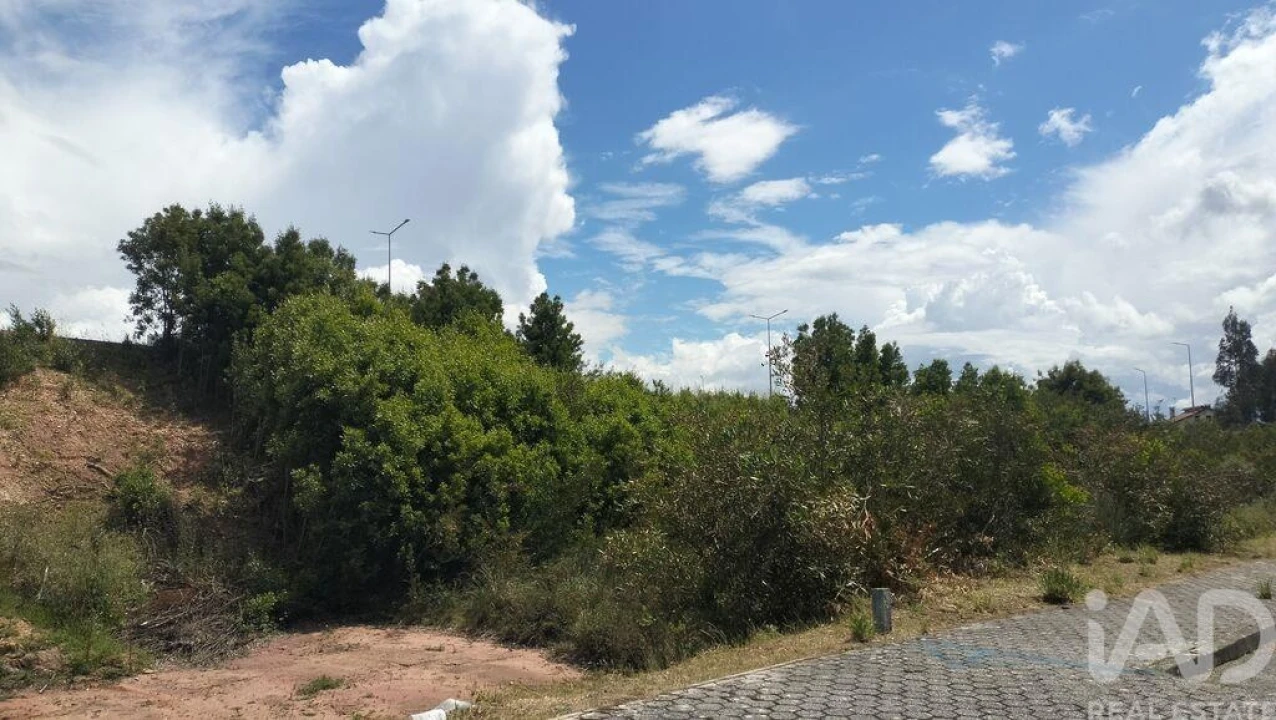 Terreno para Venda em Águeda e Borralha Foto 37