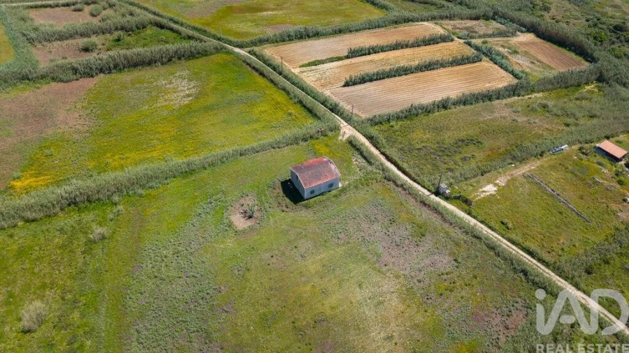 Terreno para Venda em Encosta do Sol Foto 9