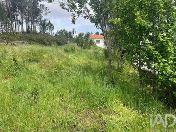 Moradia T2 para Venda em Campo e Sobrado