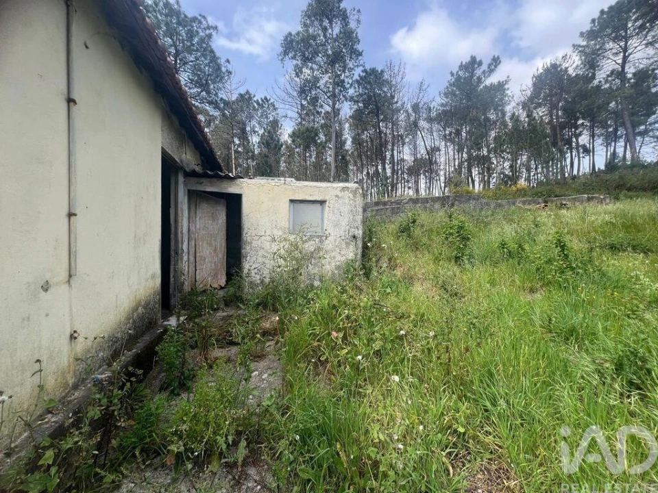 Moradia T2 para Venda em Campo e Sobrado Foto 3