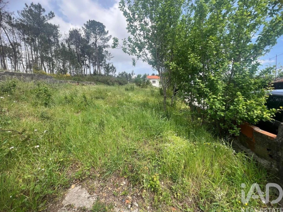 Moradia T2 para Venda em Campo e Sobrado Foto 4