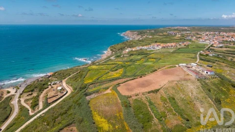 Terreno para Venda em São Pedro da Cadeira
