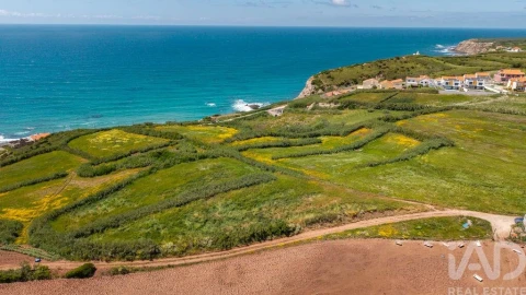 Terreno para Venda em São Pedro da Cadeira
