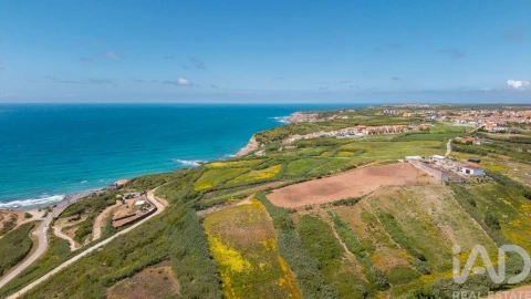 Terreno para Venda em São Pedro da Cadeira