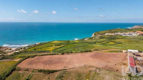 Terreno para Venda em São Pedro da Cadeira