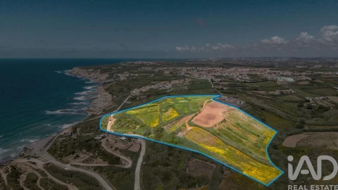 Terreno para Venda em São Pedro da Cadeira