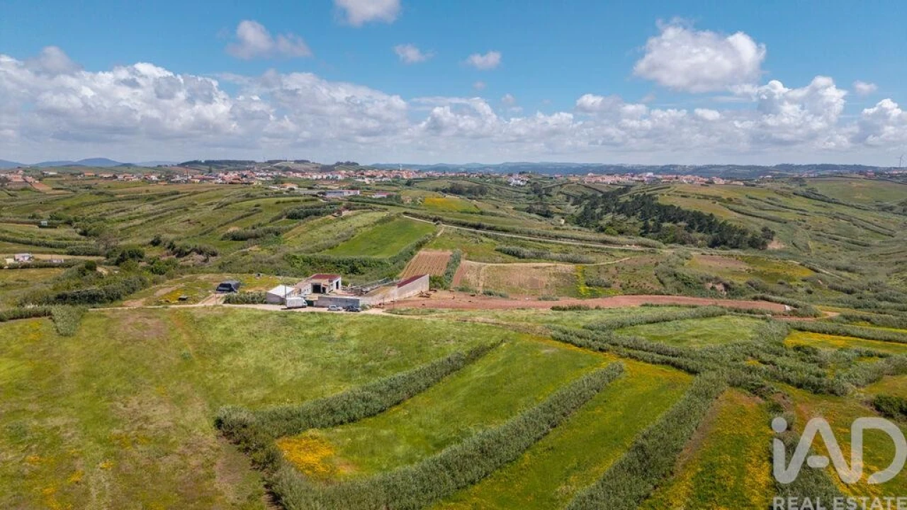 Terreno para Venda em São Pedro da Cadeira Foto 13