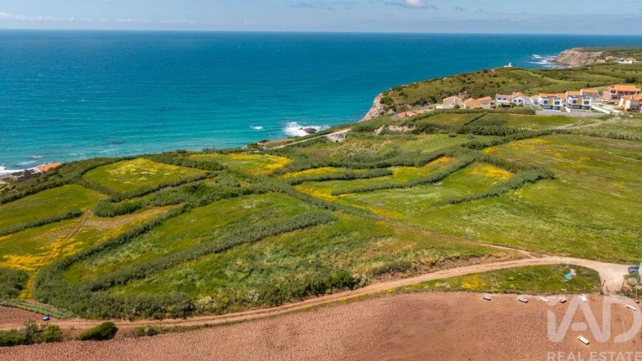 Terreno para Venda em São Pedro da Cadeira Foto 18