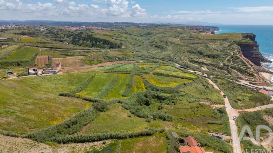 Terreno para Venda em São Pedro da Cadeira Foto 8