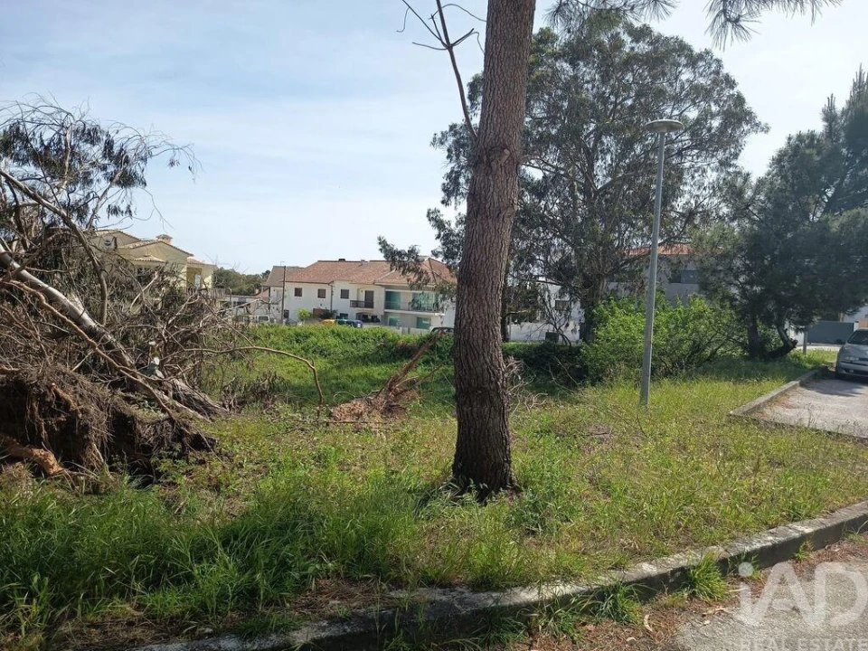 Terreno para Venda em Rio Maior Foto 8