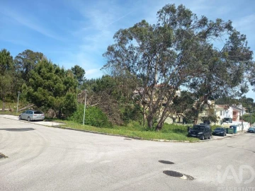 Terreno para Venda em Rio Maior