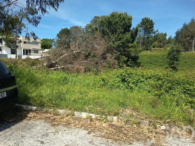 Terreno para Venda em Rio Maior Foto 17