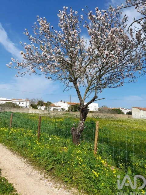 Terreno para Venda em Bensafrim e Barão de São João