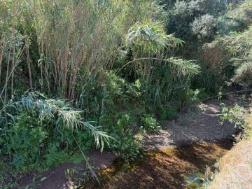 Terreno para Venda em Bensafrim e Barão de São João