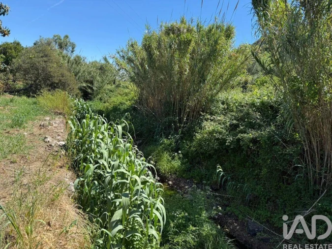 Terreno para Venda em Bensafrim e Barão de São João Foto 15