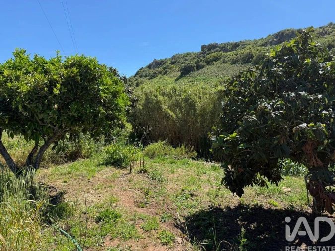 Terreno para Venda em Bensafrim e Barão de São João Foto 14