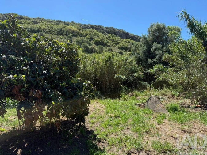 Terreno para Venda em Bensafrim e Barão de São João Foto 7