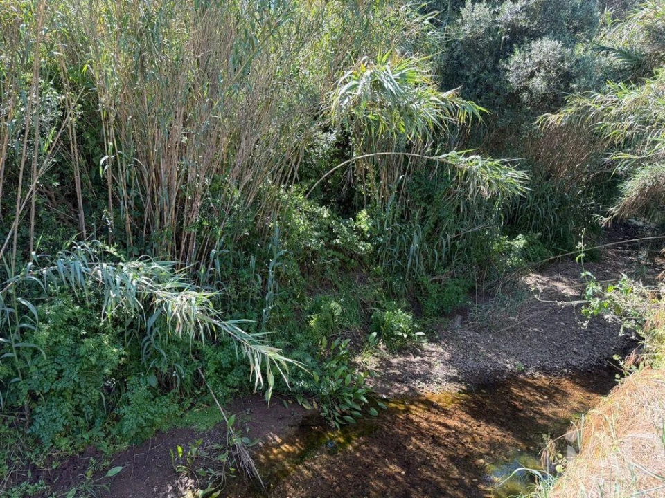 Terreno para Venda em Bensafrim e Barão de São João Foto 6