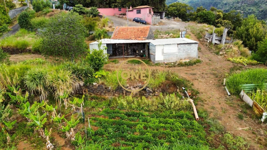 Terreno para Venda em Santa Cruz Foto 8