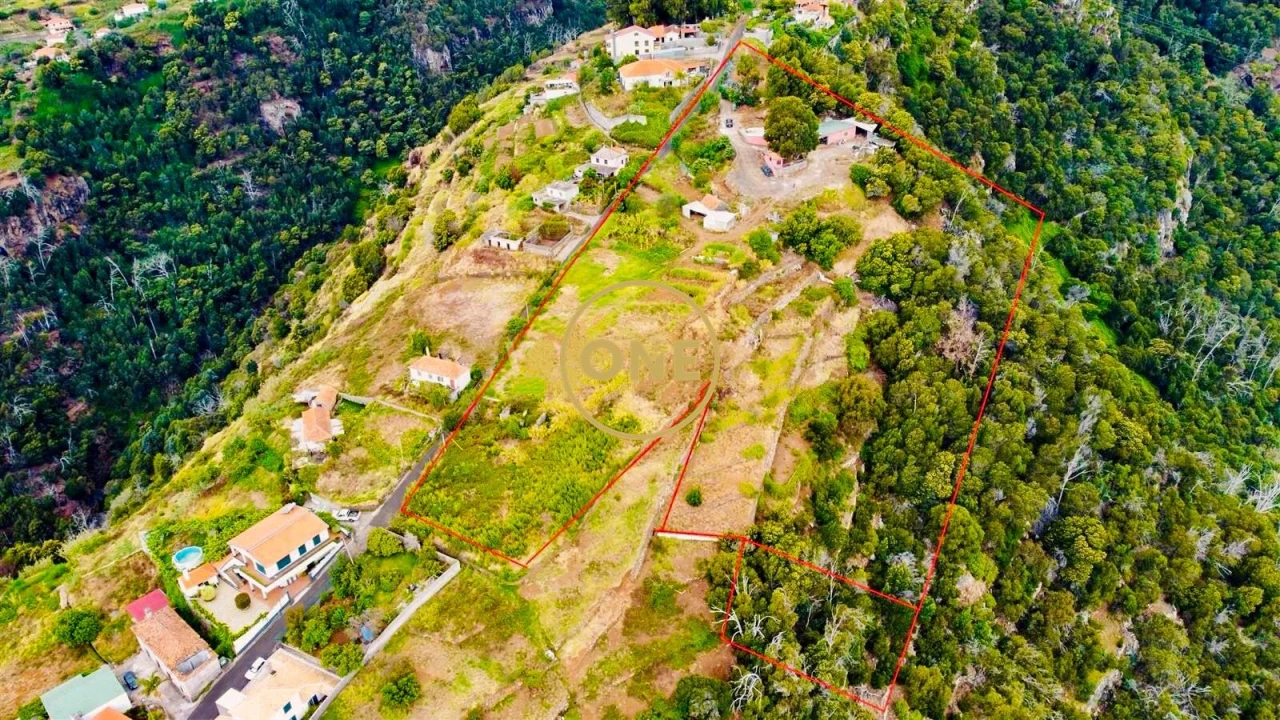Terreno para Venda em Santa Cruz Foto 16