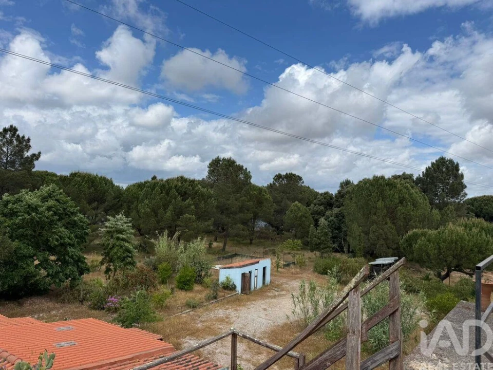 Terreno para Venda em Pegões Foto 4