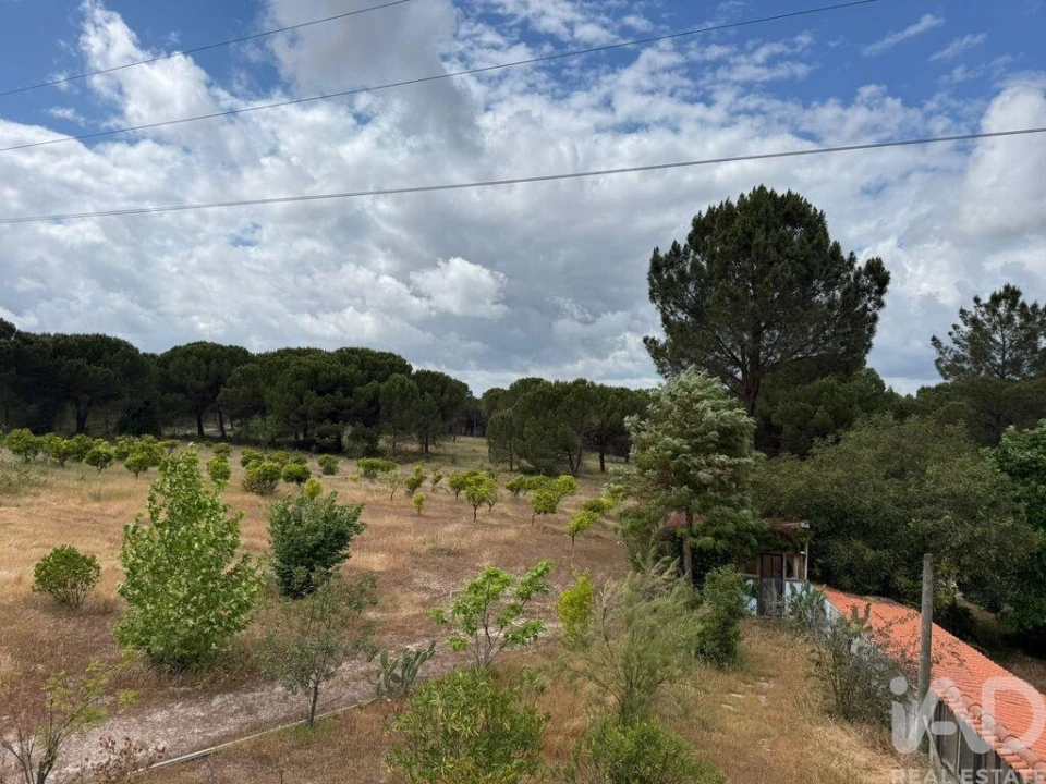 Terreno para Venda em Pegões Foto 3