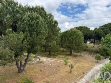 Terreno para Venda em Pegões