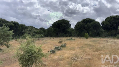 Terreno para Venda em Pegões