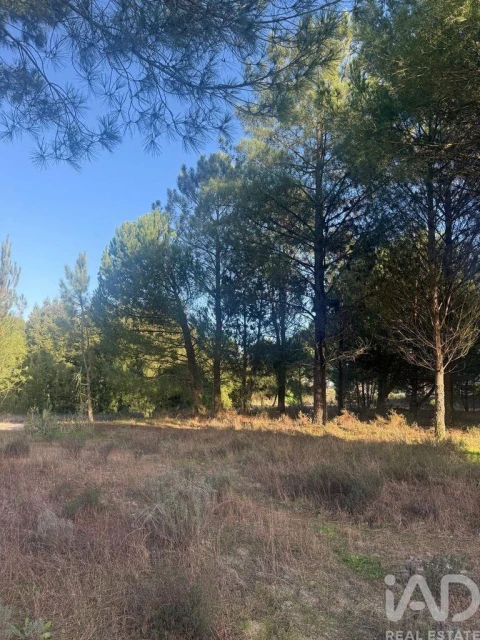 Terreno para Venda em Pegões