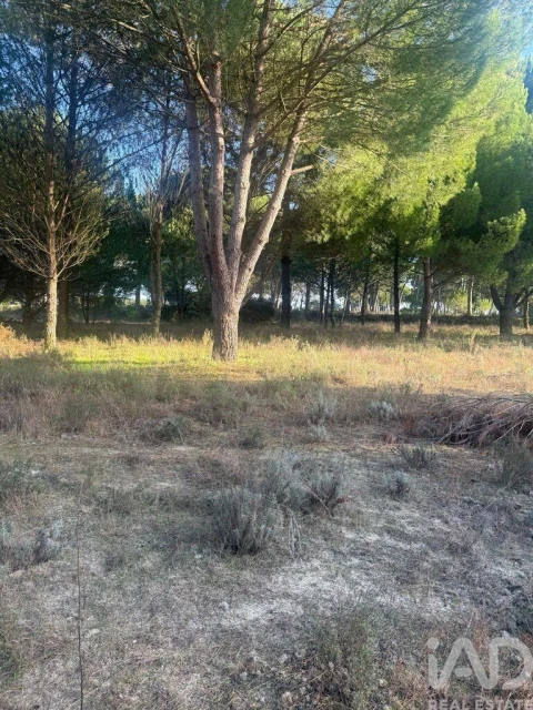 Terreno para Venda em Pegões