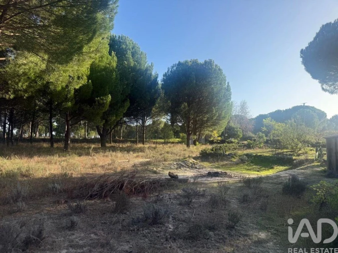 Terreno para Venda em Pegões Foto 11