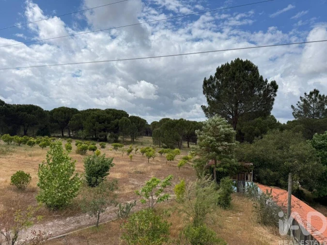 Terreno para Venda em Pegões Foto 3
