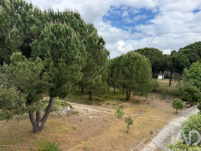 Terreno para Venda em Pegões Foto 5