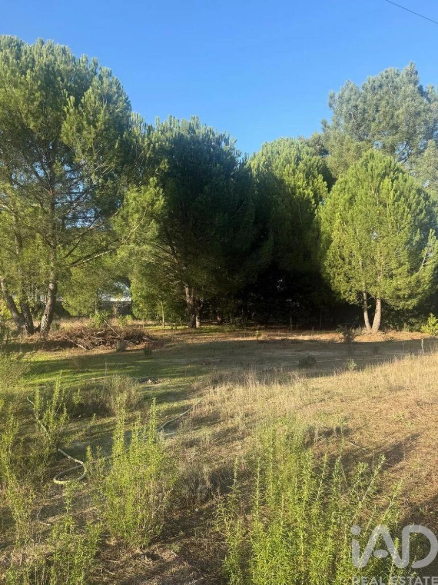 Terreno para Venda em Pegões Foto 8