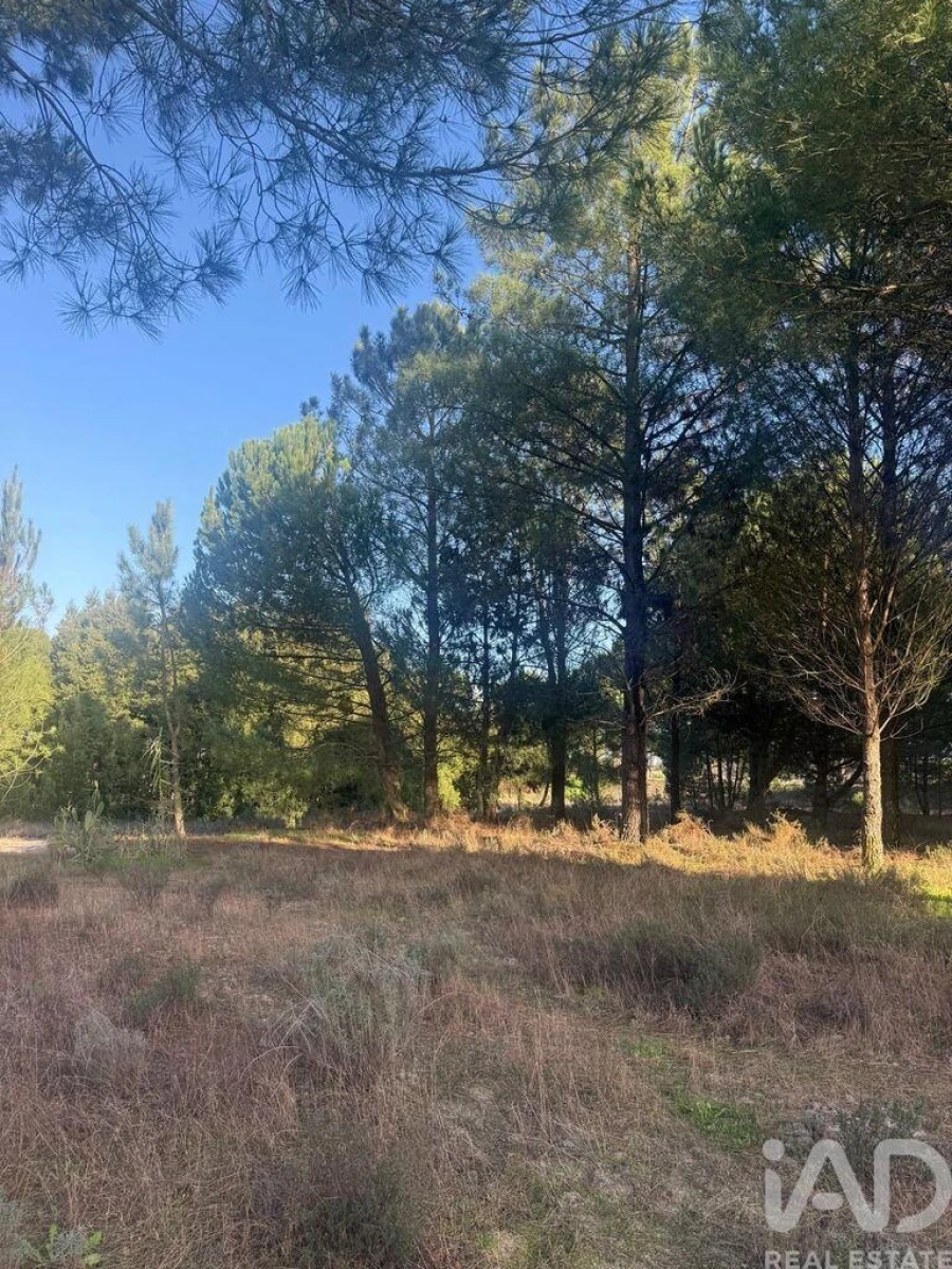 Terreno para Venda em Pegões Foto 7