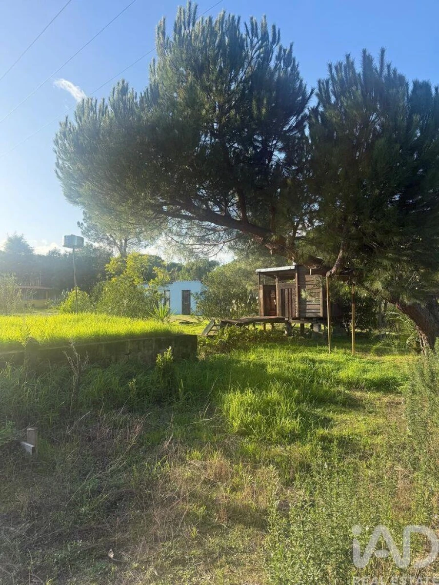 Terreno para Venda em Pegões Foto 9