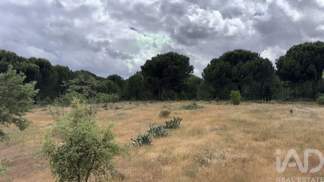 Terreno para Venda em Pegões Foto 1