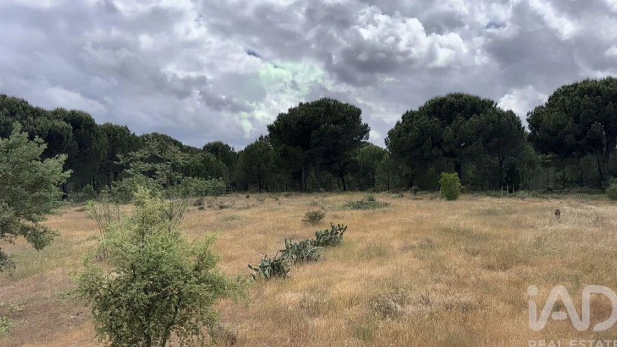Terreno para Venda em Pegões