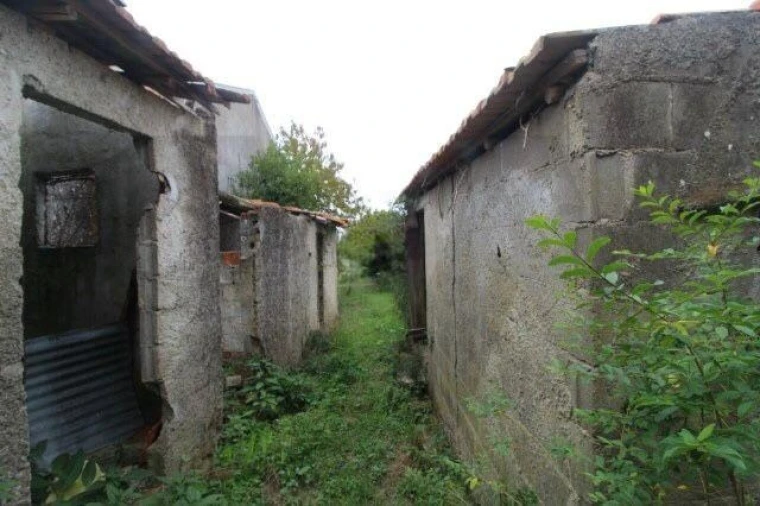 Terreno para Venda em Casal Comba Foto 4