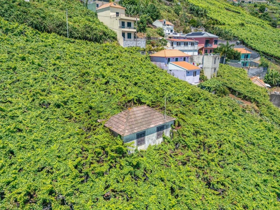 Moradia T2 para Venda em Estreito de Camara de Lobos Foto 12