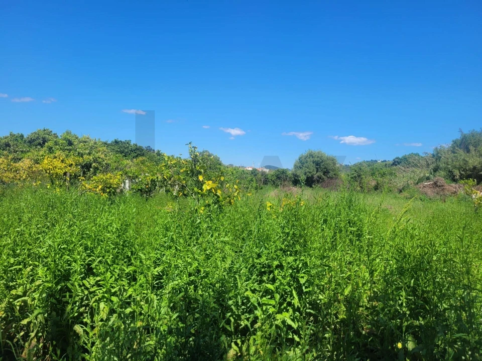 Terreno para Venda em Silves Foto 2
