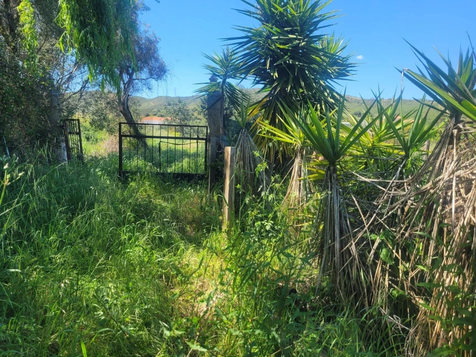 Terreno para Venda em Silves Foto 4