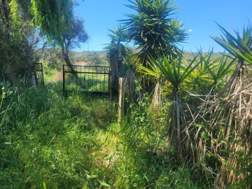 Terreno para Venda em Silves