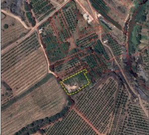 Terreno para Venda em Silves