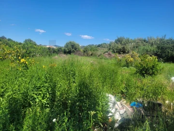 Terreno para Venda em Silves