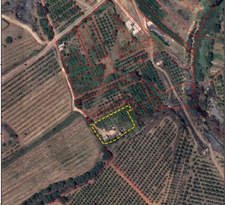 Terreno para Venda em Silves Foto 7
