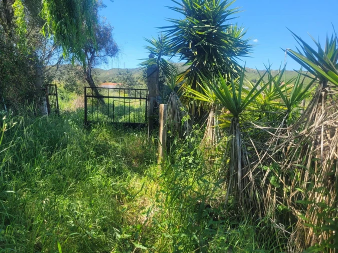 Terreno para Venda em Silves Foto 4